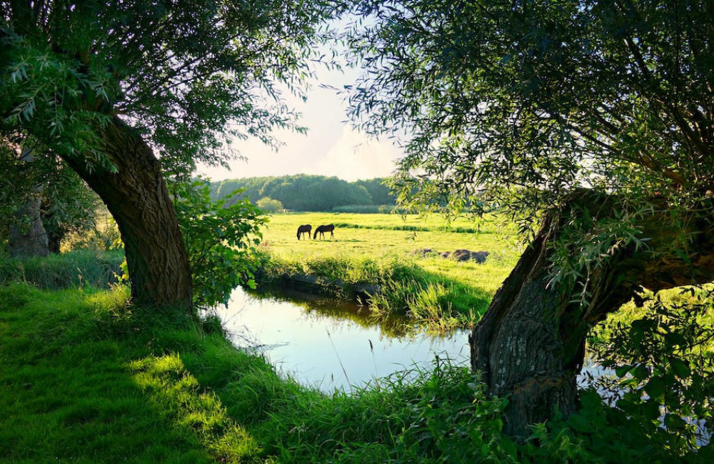 Hoe creëer je een unieke buitenlocatie voor ieder evenement?